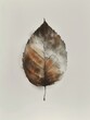leaf shaped fading away poster ash death split two smoke olive skinned oil glazing left behind turning yellow low color