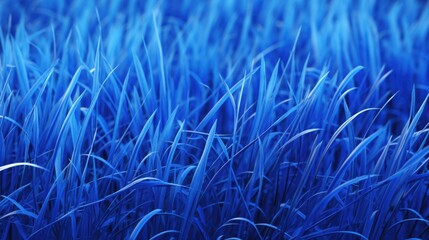 Canvas Print - The background of the grass is in Sapphire color.