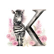 zebra K
