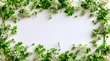 Fresh Green Herbs And Plants On White Background, Concept Of Natural Ingredients And Healthy Food, Top View Layout For Spring And Summer