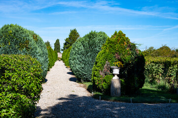 Old wine domain on Sauternes vineyards in Barsac village affected by Botrytis cinerea noble rot, making of sweet dessert Sauternes wines in Bordeaux, France