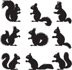 Wall Mural - Set of Squirrel animal black silhouettes 