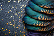 Peacock Feathers Closeup, Vibrant Plumage Detail in Nature, Exotic Beauty and Elegance Concept