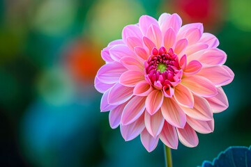 Sticker - flower with a pink petals and a bloom overlay on the stem