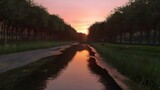 Fototapeta Tęcza - Sunset