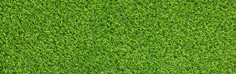 Sticker - Fresh green grass as background outdoors, top view. Banner design