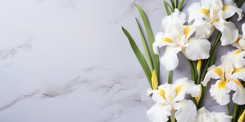 White bouquet of iris flowers on a light background. Copy space for Easter and spring