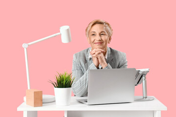 Mature female programmer working with laptop at table on pink background