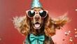 Party time for birthday. English cocker spaniel young dog is posing. Cute playful brown doggy or pet in sunglasses isolated on red background. 