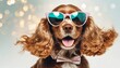 Party time for birthday. English cocker spaniel young dog is posing. Cute playful brown doggy or pet in sunglasses isolated on white background