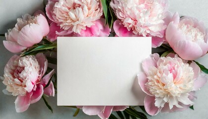 Wall Mural - Mockup card on the background of pink peonies, can be used as a greeting card or as an invitation to a wedding or other