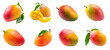 © Sim - Set of vibrant orange ripe mango on transparency background PNG
