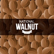 National Walnut Day Vector Illustration. Food national day themes design concept with flat style vector illustration. Suitable for greeting card, poster and banner. Suitable for business asset design
