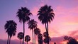 © ISK PRODUCTION - A group of palm trees with the purple sky in the background