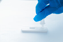 Scientist making a antigen rapid test kit for viral disease COVID-19 nCoV Laboratory card kit test for coronavirus.
