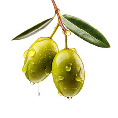 Poster - Olive branch with ripe and delicious olives, cut out