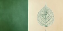 Green Leaf On A Two-tone Background. The Concept Of Nature And Sustainability.