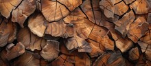 Pieces of tree that are cut up close are used as background from sawn wood pieces, with tree cuts gathered into a texture.