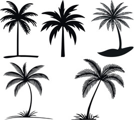 Wall Mural - palm tree silhouette, tropical nature illustration. elegant black outlines depict exotic, serene bea