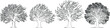 Oak tree silhouettes, intricate branches, leaves, nature’s elegance, outdoors. Ideal design elements for creative projects. Unique patterns, monochromatic scheme, complex structure