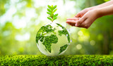 Fototapeta Sawanna - environment Earth Day In the hands of trees growing seedlings. Bokeh green Background Female hand holding tree on nature field grass Forest conservation concept