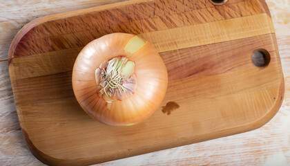 Poster - onion on wooden cutting board. top view; high quality photo