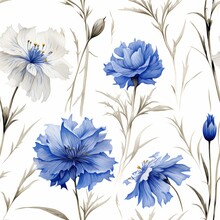 Serenity In Nature. Beautiful Small Cornflowers Blossoming Gracefully On A Pure White Background