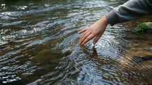 A Woman's Hand Tugging The Water In A Forest River Over morning Tenting Trips And Space, Generative AI.