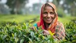 Tea leaf acquiring on an exquisite plantation by an Indian tea-planting personnel and space, Generative AI.