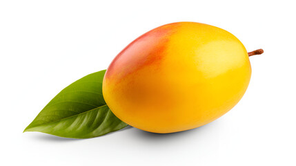 One whole mango fruit isolated on white background,Fresh sweet marian plum with leaf isolated on white background  Clipping path
