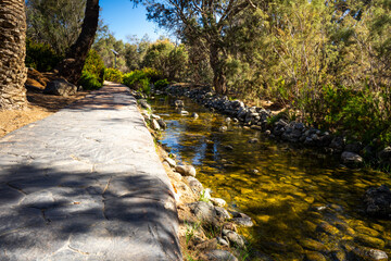 Gran Canaria Meloneras Path and Stream in a Garden