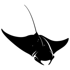 manta ray or stingray fish, sea animal and ocean creature