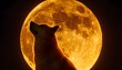 shiba inu howling in front of full moon doge doge coin crypto mascot 