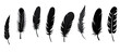Feather icons. Set of black feather Icons. isolated on white background