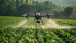 Farmers operating pesticide spraying drones over a lush crop field, showcasing the integration of agricultural technology in modern farming