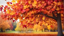 Autumnal Park, Vibrant, Multicolored Leaves Swaying In A Tree. Fall Background, Beautiful Autumn Background, A Person Letting Go And Accepting Changes By Releasing An Autumn Leaf Into The Wind, 
