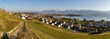 Winterlicher Reebberg mit sicht auf Rapperswil den Zürichsee und die Berge