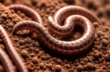 A Close-up Of A Terrestrial Organism, A Snake, Slithering On Soil, Captured Through Macro Photography.