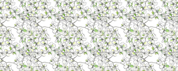 beautiful spring flower drawing pattern