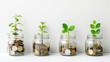 transparent glass jars lined up against a white background, each containing different amounts of coins and a progressively growing plant