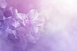 Gentle Violet Haze: Abstract Floral Softness
