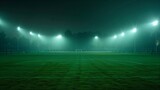Fototapeta Sport - Universal grass stadium illuminated by spotlights and empty green playground