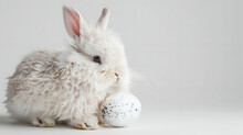A Delightful Easter Egg Nestled Beside A Fluffy White Bunny With Floppy Ears Against A Pristine White Backdrop