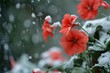© StockUp - red flowers in the cold