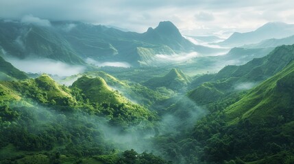 Wall Mural - amazing landscape of the amazon with fog