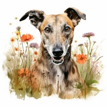 Lurcher Hund Aquarell Porträt Blumenwiese Charmant Ausdrucksvoll Tierkunst Natürlich Fröhlich Kunst Druck Familienfreundlich Wanddekoration Einzigartiges Geschenk