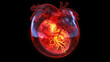 fetus heart shape womb graphic pregnancy embryo science accurate foetus pregnant biology medicals development baby antenatal anatomy week mother life inside belly placenta uterus newborn,generative ai