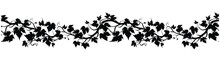 Silhouette Of Grape Vines Leaf On Transparent Background. Continuous Pattern Of Vitis Leaves Vines. Natural Border Design Vector.