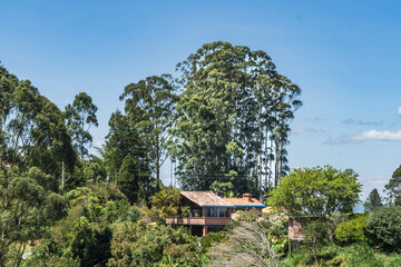 charming farm in the middle of nature in a colombian village. house in the forest that inspires comf
