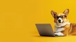 © Matcha_09 - Cute corgi dog looking at laptop in glasses on yellow background